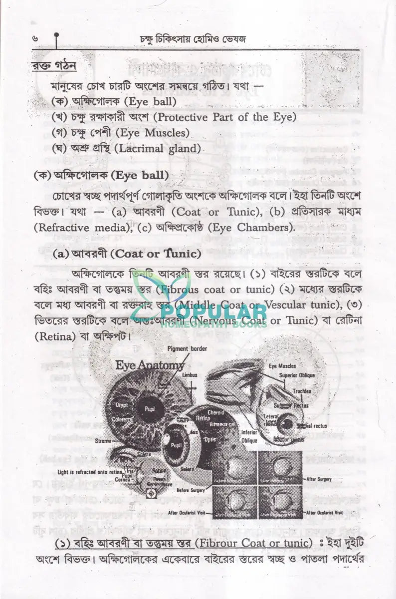 ৩৫ বছরের অভিজ্ঞতায় সচিত্র চক্ষু চিকিৎসায় হোমিও ভেষজ Homeopathy Books