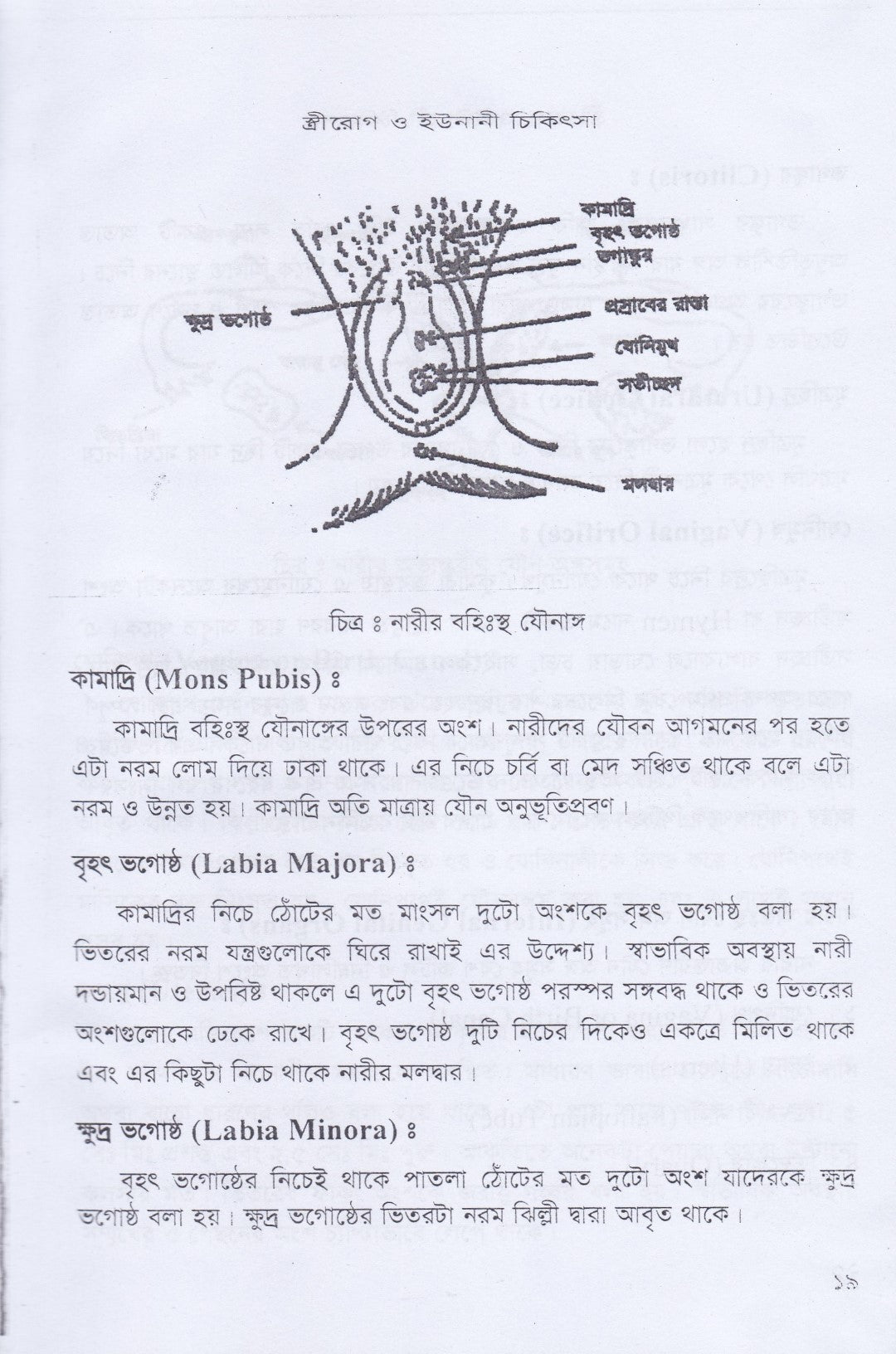 স্ত্রীরোগ, যৌনরোগ ও ইউনানী চিকিৎসা