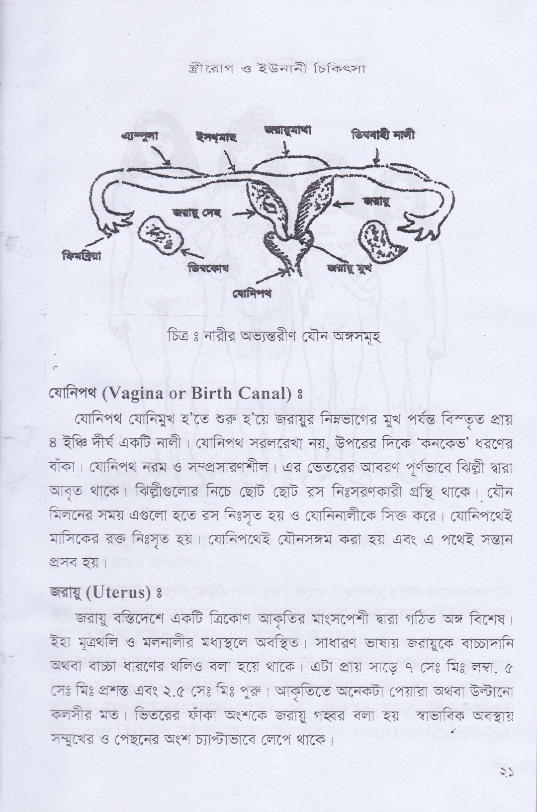 স্ত্রীরোগ, যৌনরোগ ও ইউনানী চিকিৎসা