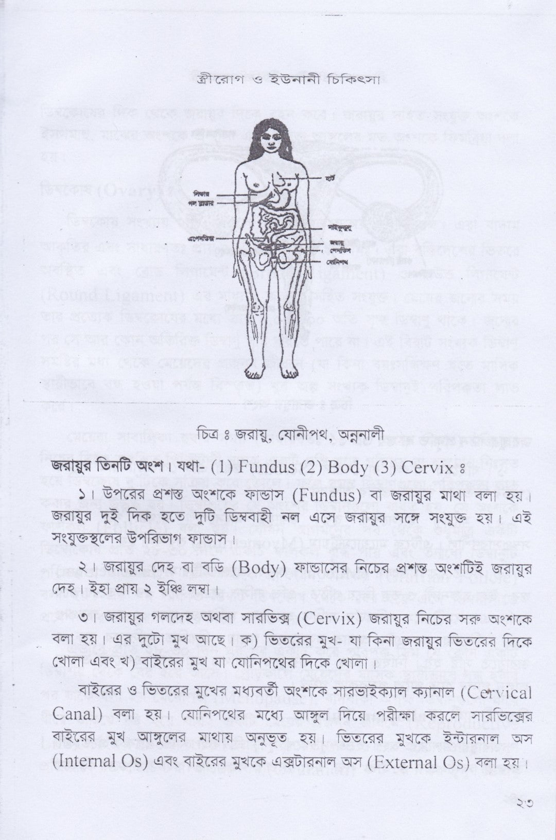 স্ত্রীরোগ, যৌনরোগ ও ইউনানী চিকিৎসা