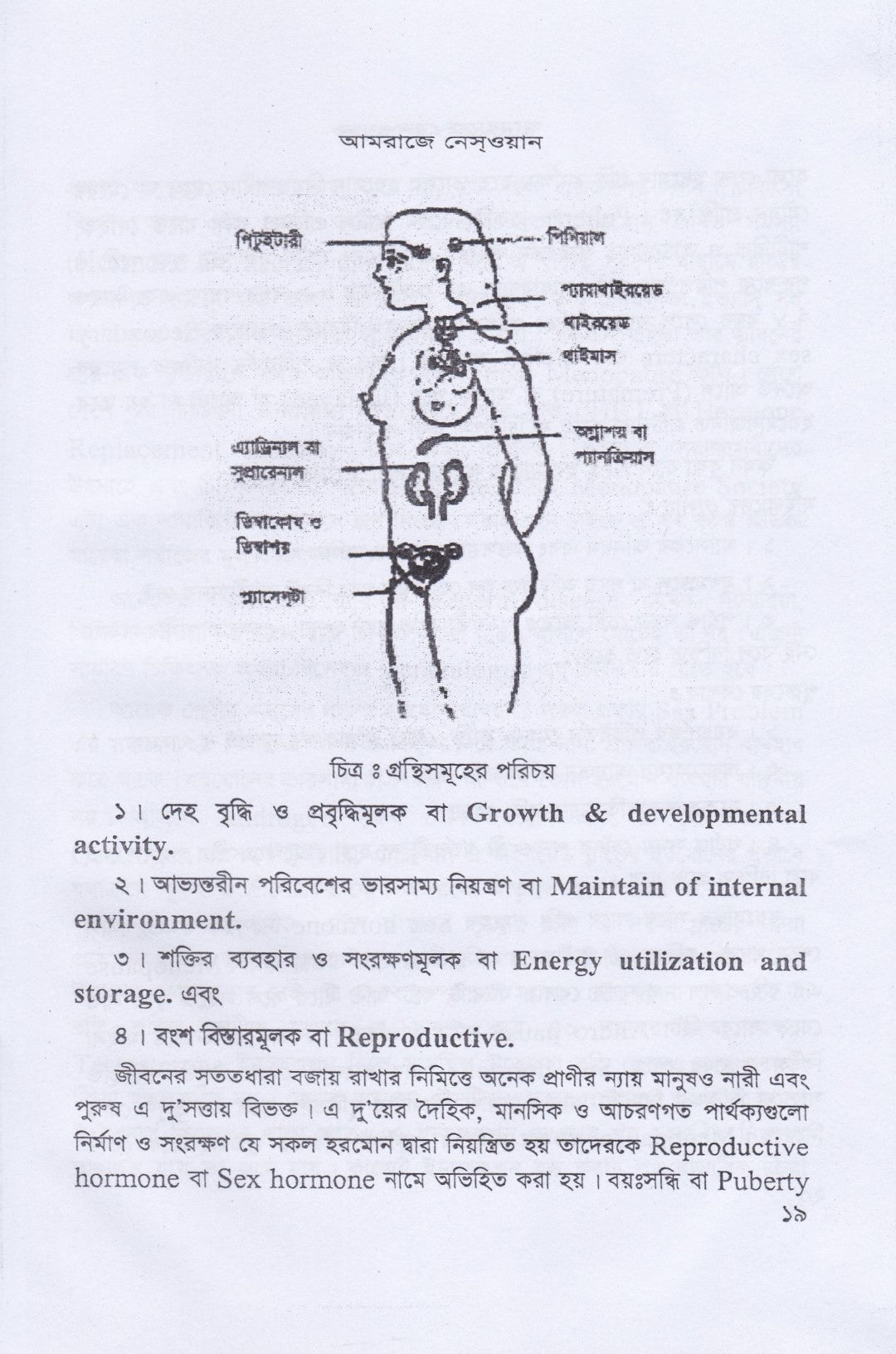 আমরাজে নেস্ওয়ান