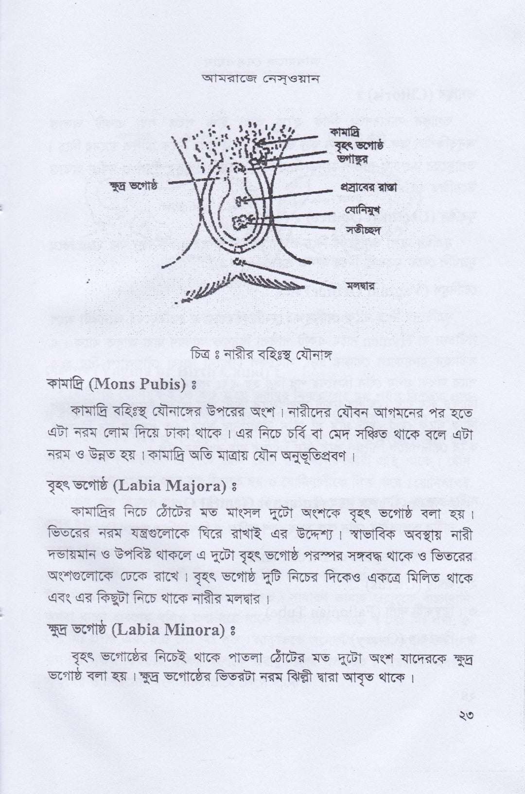 আমরাজে নেস্ওয়ান