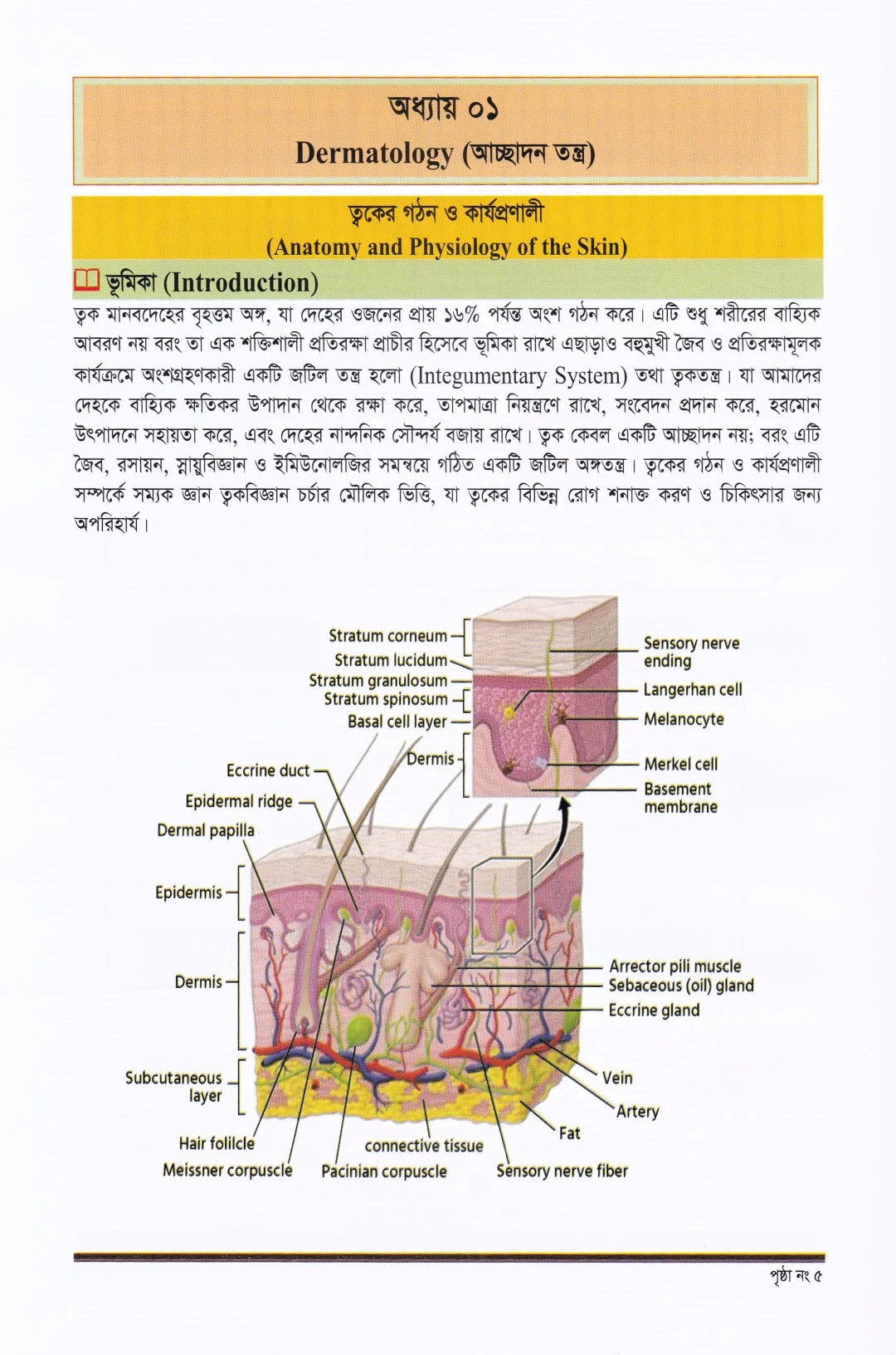 ক্লিনিক্যাল চর্মরোগ ও আধুনিক চিকিৎসা