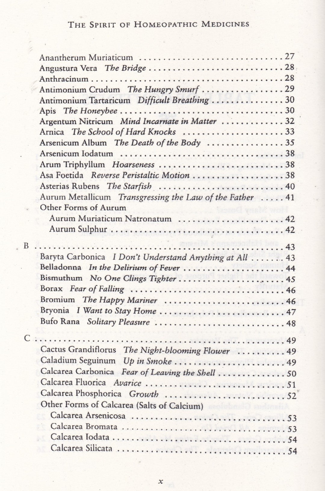 the Spirit  Homoeopathic Medicine