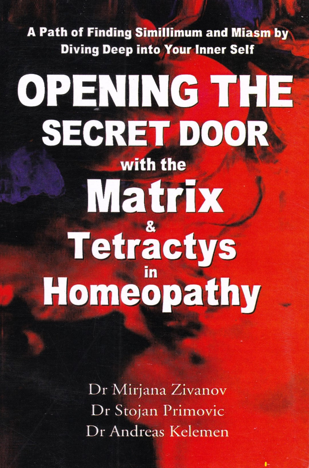 Opening The Secret Door With The Matrix & Tetractys in Homeopathy