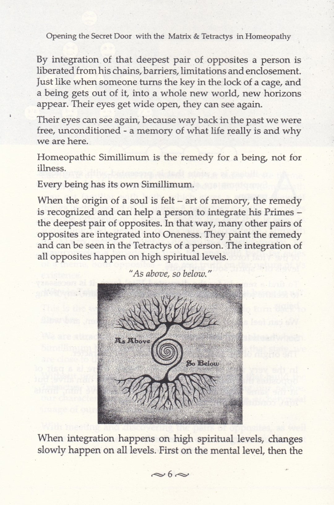 Opening The Secret Door With The Matrix & Tetractys in Homeopathy