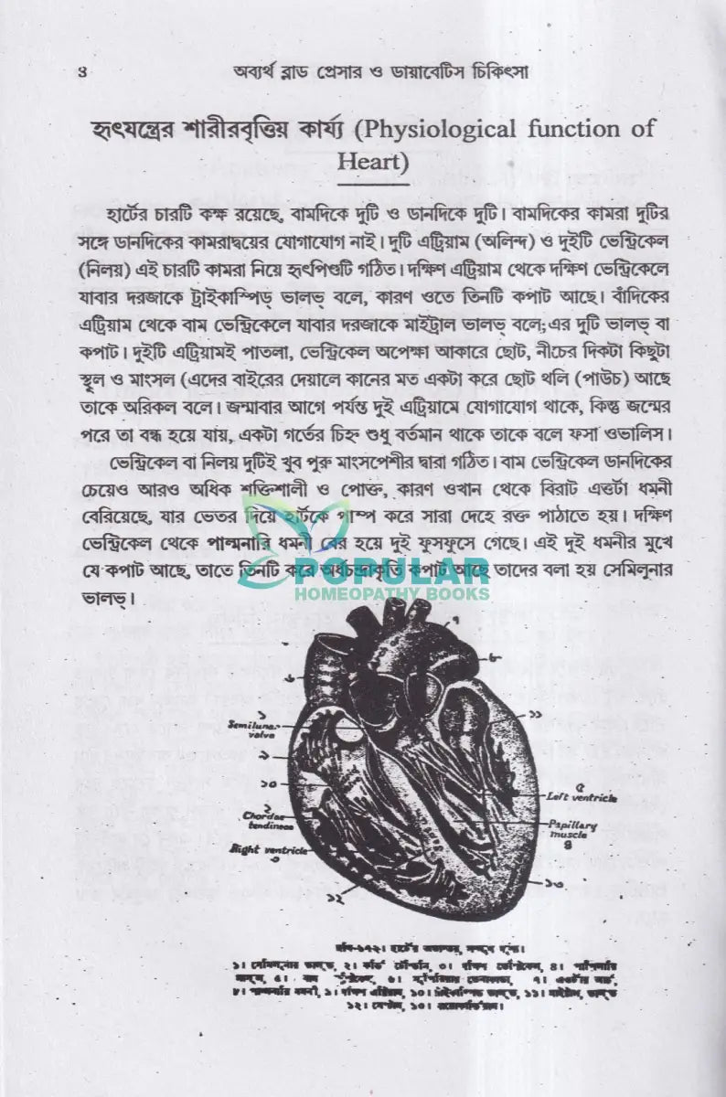 অব্যর্থ ব্লাডপ্রেসার ও ডায়াবেটিস চিকিৎসা Homeopathy Books