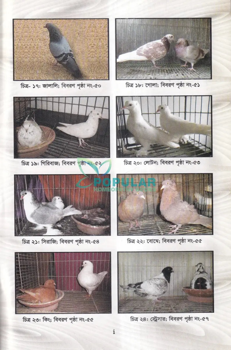 আধুনিক পদ্ধতিতে কবুতর পালন ও রোগ ব্যাধির চিকিৎসা Veterinary Books