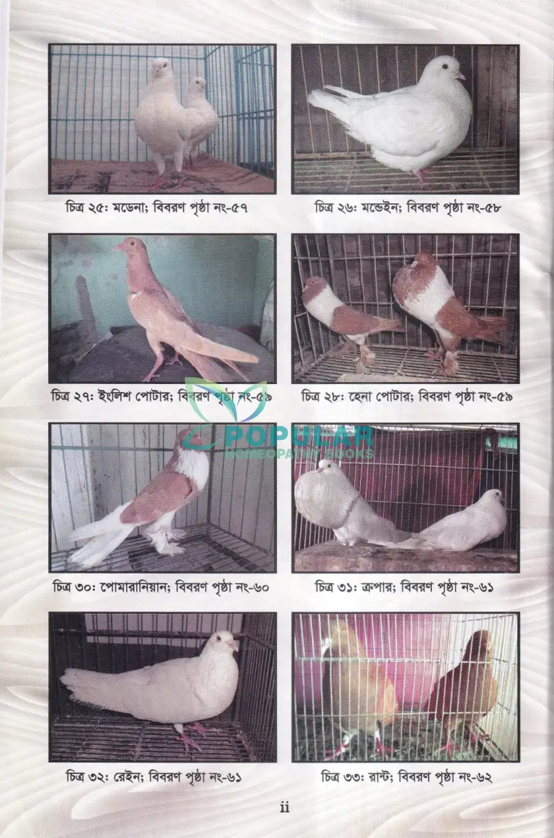 আধুনিক পদ্ধতিতে কবুতর পালন ও রোগ ব্যাধির চিকিৎসা Veterinary Books