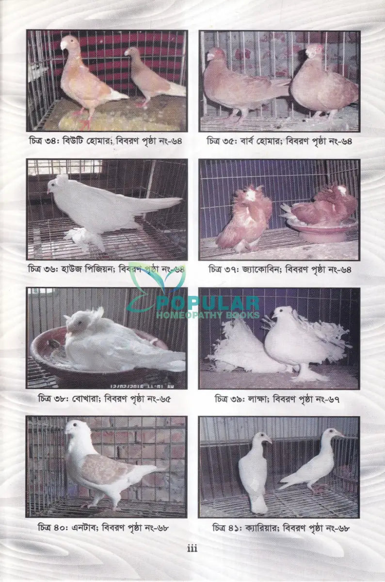 আধুনিক পদ্ধতিতে কবুতর পালন ও রোগ ব্যাধির চিকিৎসা Veterinary Books