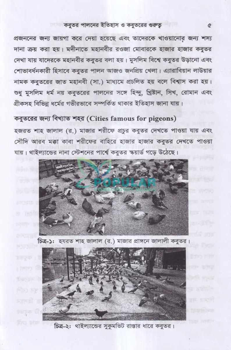 আধুনিক পদ্ধতিতে কবুতর পালন ও রোগ ব্যাধির চিকিৎসা Veterinary Books