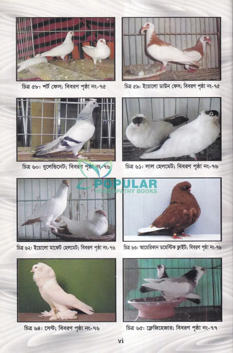 আধুনিক পদ্ধতিতে কবুতর পালন ও রোগ ব্যাধির চিকিৎসা Veterinary Books