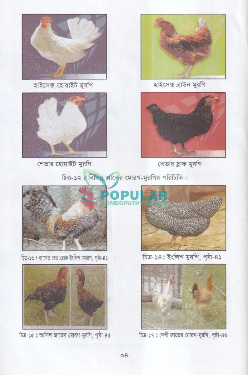 বাণিজ্যিক পোল্ট্রি পালন ও খামার ব্যবস্থাপনা Veterinary Books