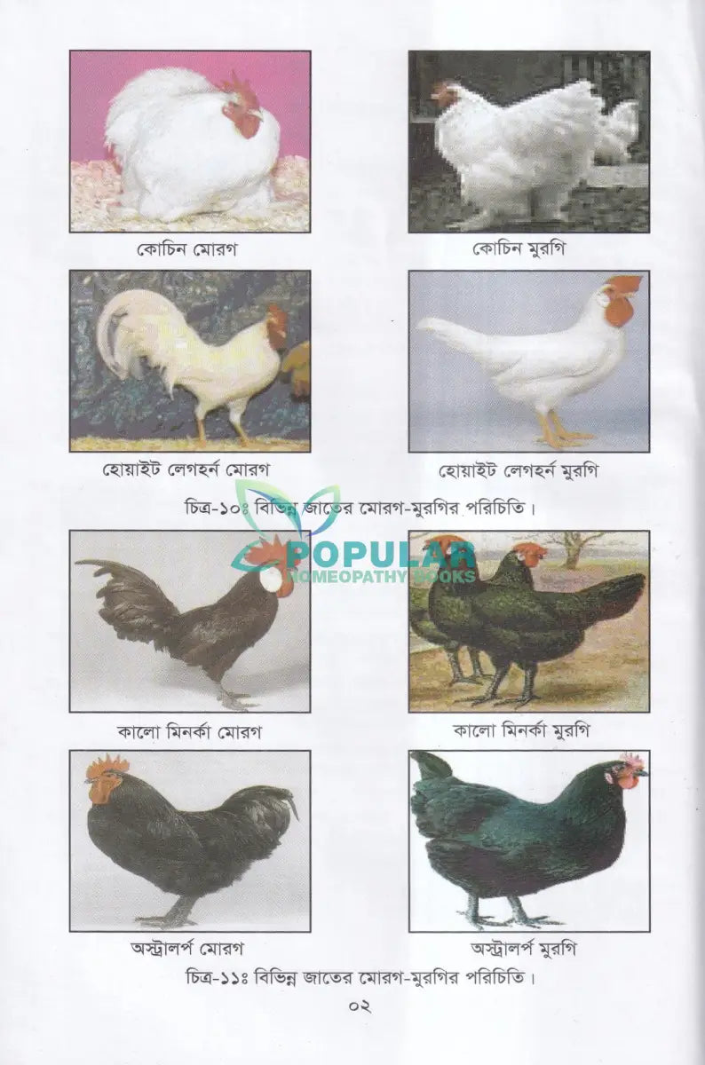 বাণিজ্যিক পোল্ট্রি পালন ও খামার ব্যবস্থাপনা Veterinary Books