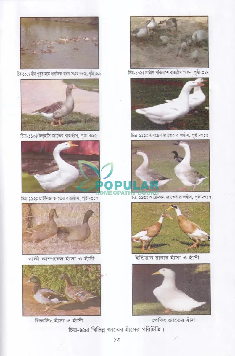 বাণিজ্যিক পোল্ট্রি পালন ও খামার ব্যবস্থাপনা Veterinary Books