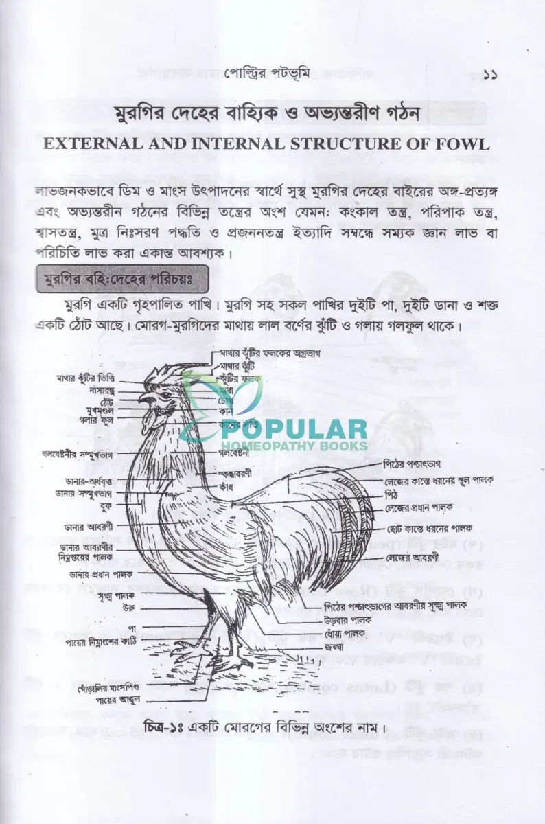 বাণিজ্যিক পোল্ট্রি পালন ও খামার ব্যবস্থাপনা Veterinary Books