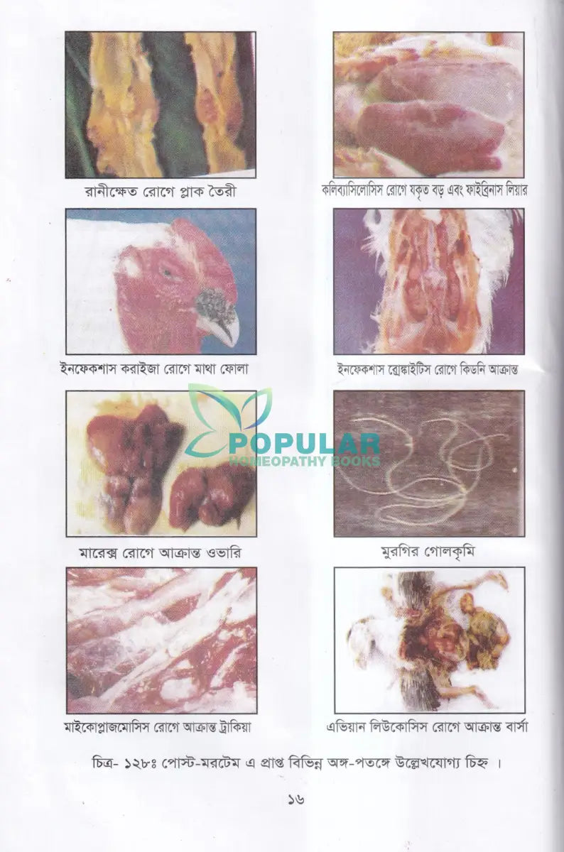 বাণিজ্যিক পোল্ট্রি পালন ও খামার ব্যবস্থাপনা Veterinary Books
