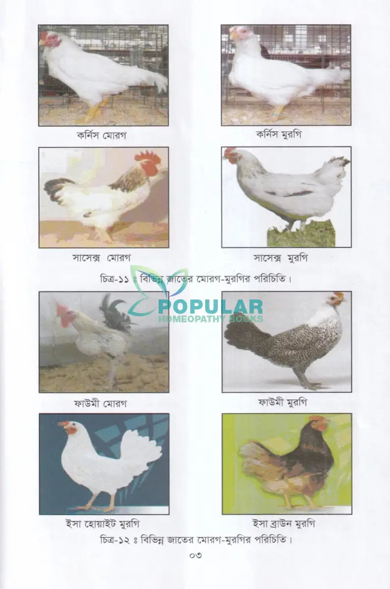 বাণিজ্যিক পোল্ট্রি পালন ও খামার ব্যবস্থাপনা Veterinary Books
