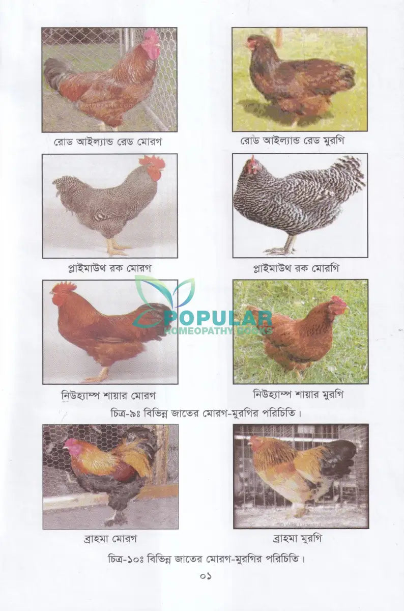 বাণিজ্যিক পোল্ট্রি পালন ও খামার ব্যবস্থাপনা Veterinary Books