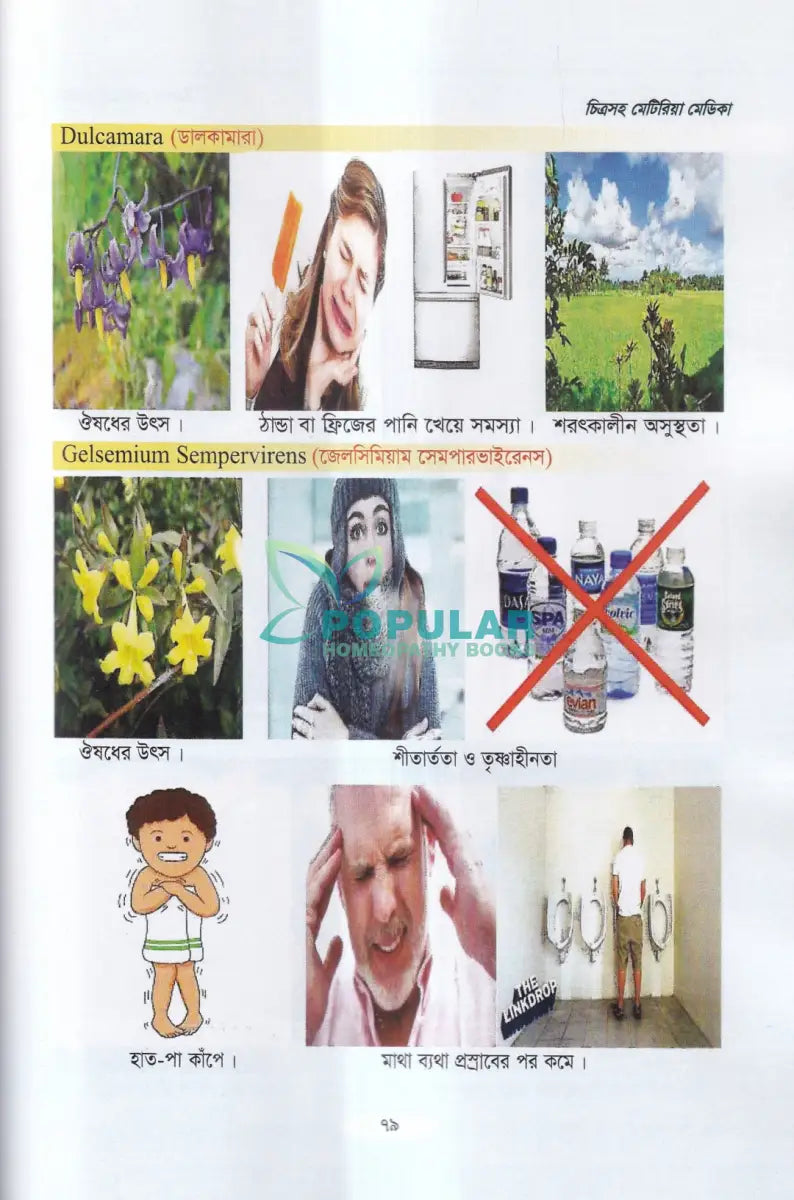 চিত্রসহ মেটিরিয়া মেডিকা (Exclusive Summary of Medicine) Homeopathy Books