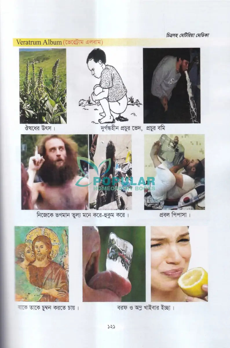চিত্রসহ মেটিরিয়া মেডিকা (Exclusive Summary of Medicine) Homeopathy Books