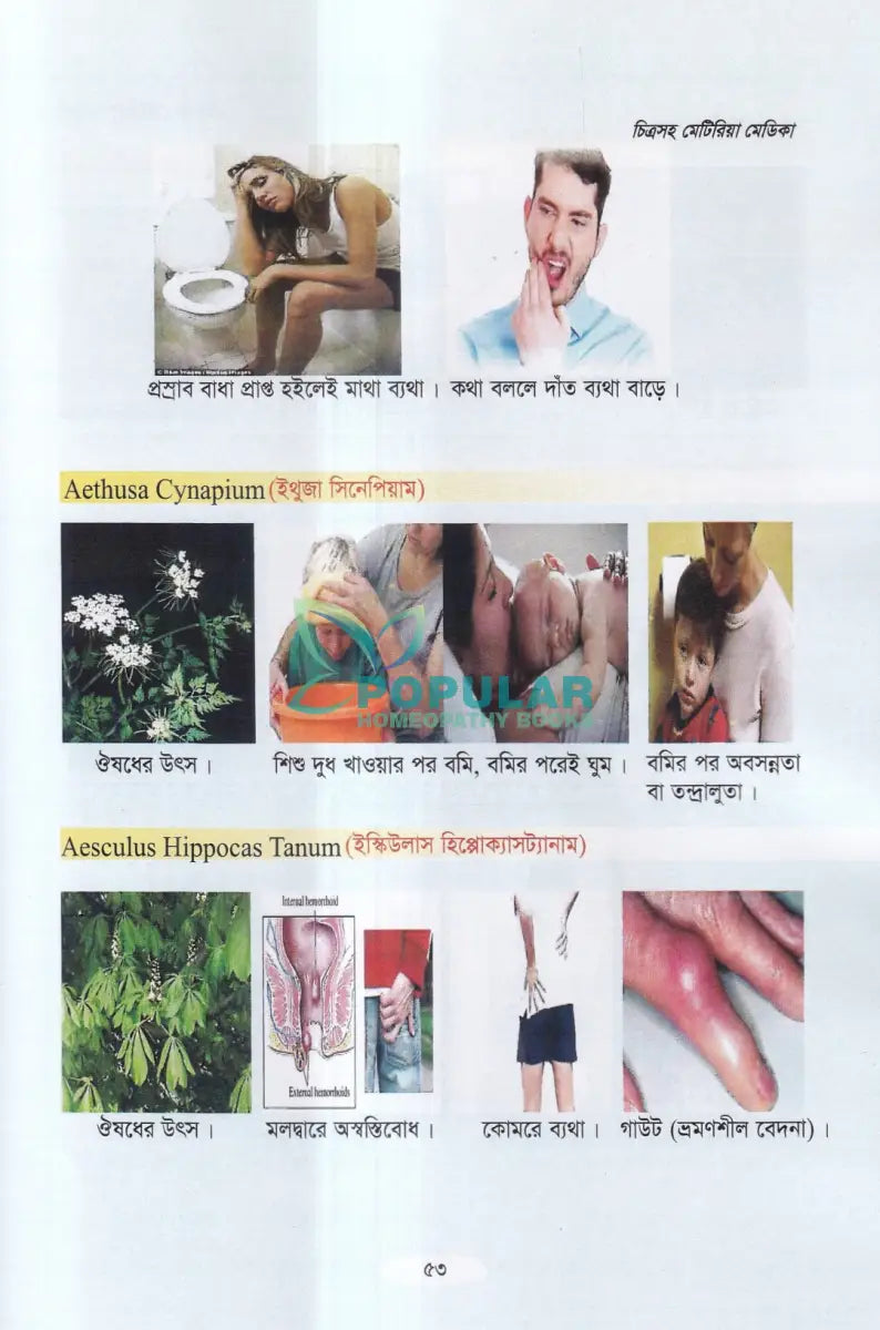 চিত্রসহ মেটিরিয়া মেডিকা (Exclusive Summary of Medicine) Homeopathy Books
