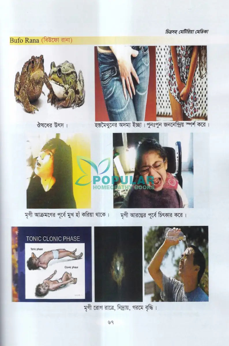 চিত্রসহ মেটিরিয়া মেডিকা (Exclusive Summary of Medicine) Homeopathy Books