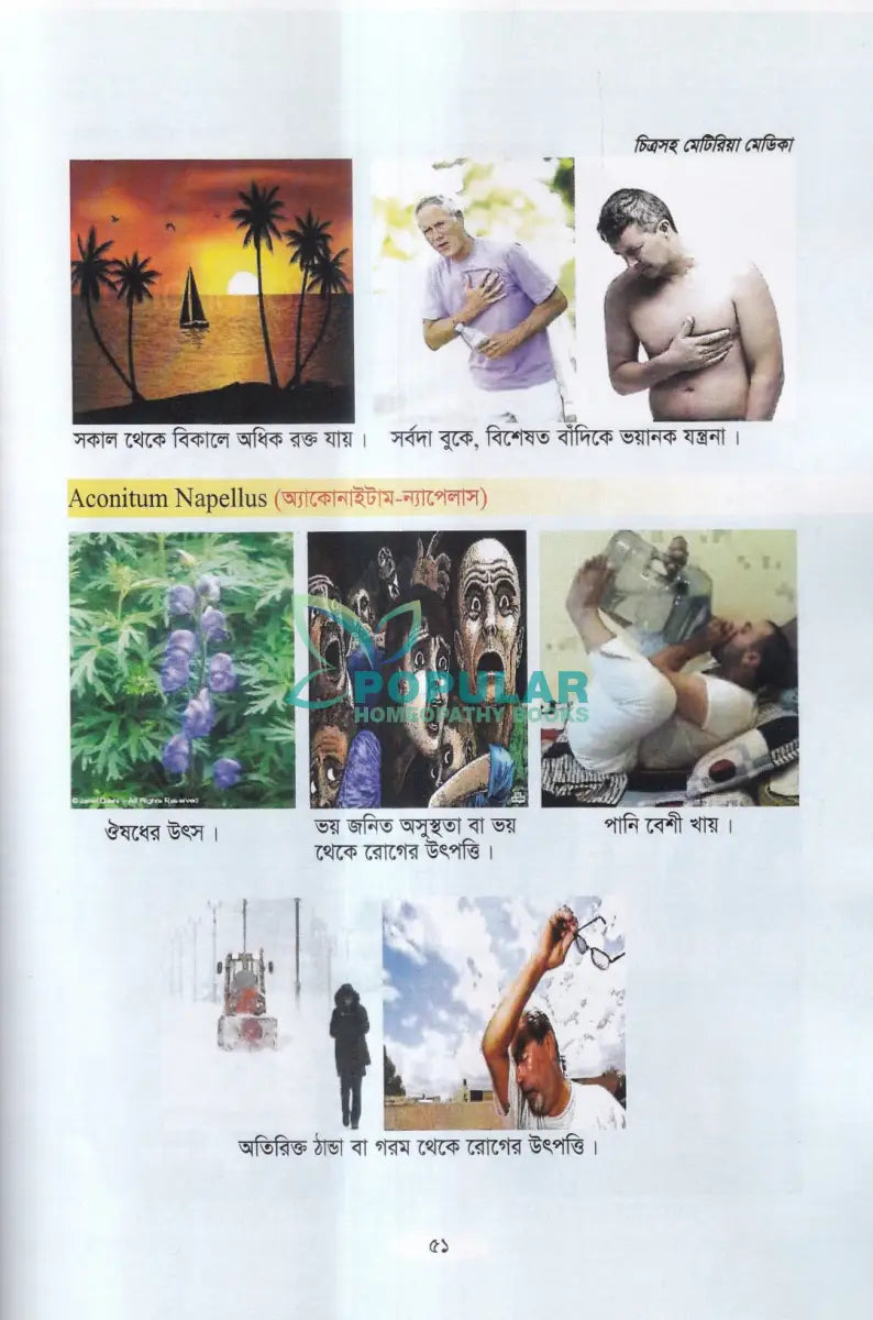 চিত্রসহ মেটিরিয়া মেডিকা (Exclusive Summary of Medicine) Homeopathy Books
