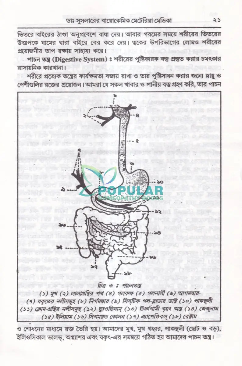 ডাঃ ডব্লিউ. এইচ. সুসলার বায়োকেমিক তুলনামূলক মেটেরিয়া মেডিকা প্র্যাকটিস অফ মেডিসিন (রেপার্টরী সহ) Homeopathy Books