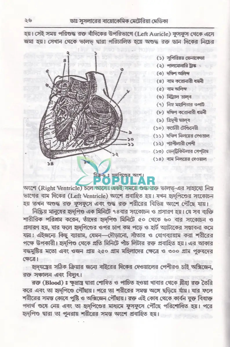 ডাঃ ডব্লিউ. এইচ. সুসলার বায়োকেমিক তুলনামূলক মেটেরিয়া মেডিকা প্র্যাকটিস অফ মেডিসিন (রেপার্টরী সহ) Homeopathy Books