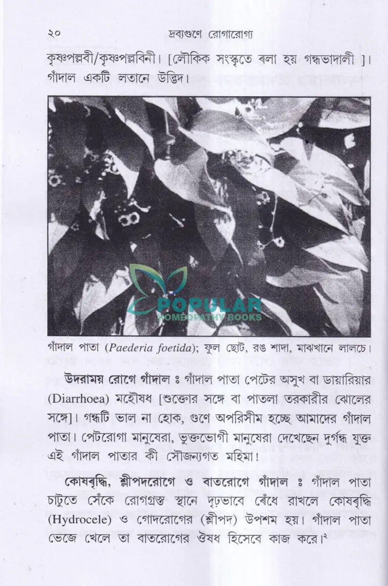 দ্রব্যগুণে রোগারোগ্য Ayurvedic Books