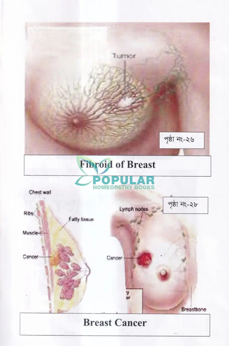 দ্যা হ্যান্ড বুক অফ গাইনী ডিজিজ Homeopathy Books