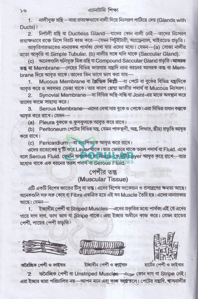 এ্যানাটমি শিক্ষা Homeopathy Books