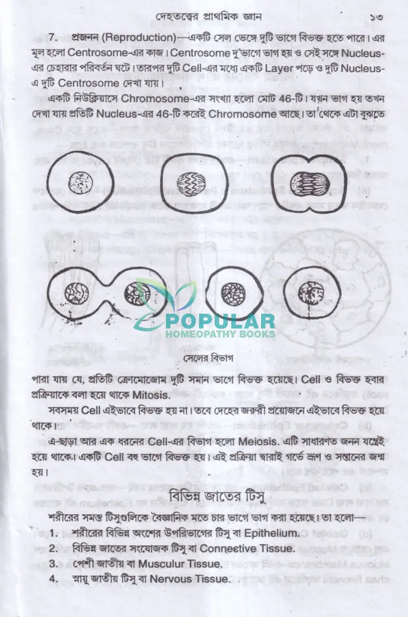 এ্যানাটমি শিক্ষা Homeopathy Books