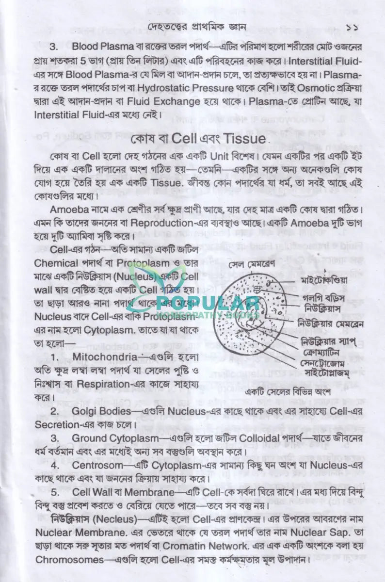 এ্যানাটমি শিক্ষা Homeopathy Books