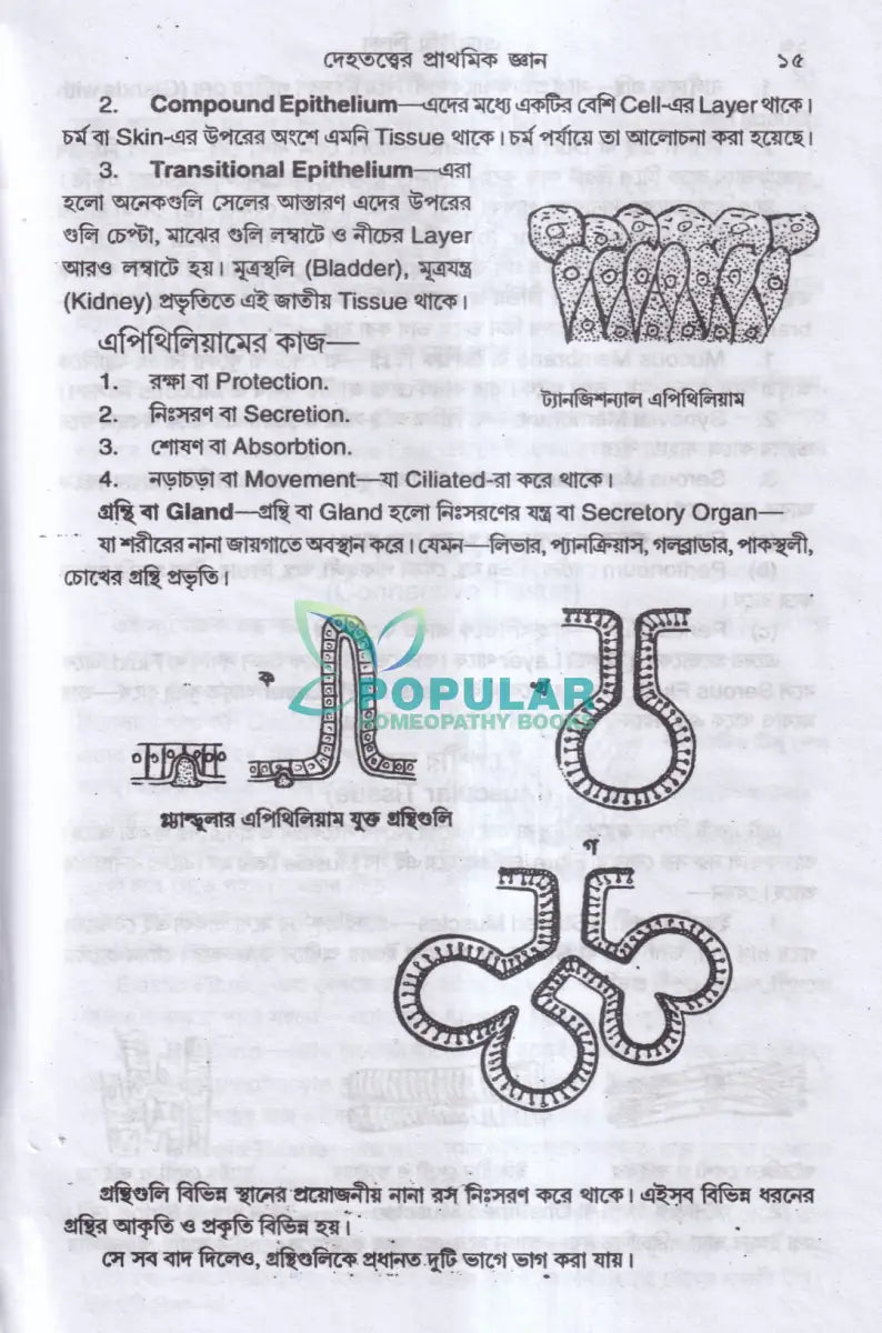 এ্যানাটমি শিক্ষা Homeopathy Books