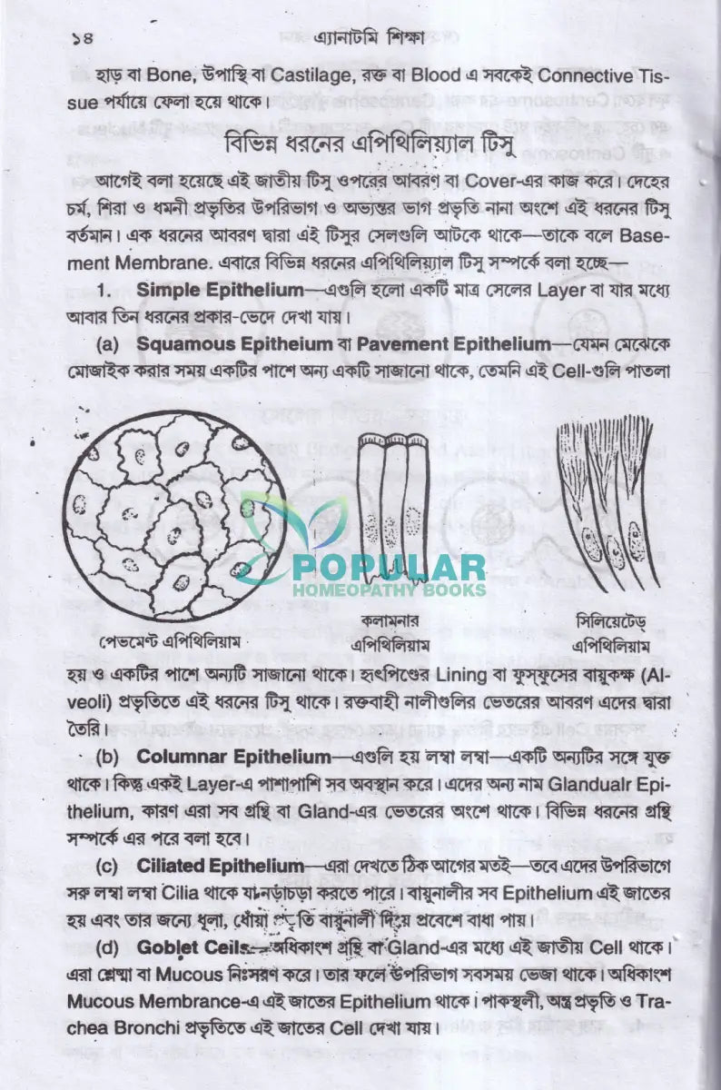 এ্যানাটমি শিক্ষা Homeopathy Books