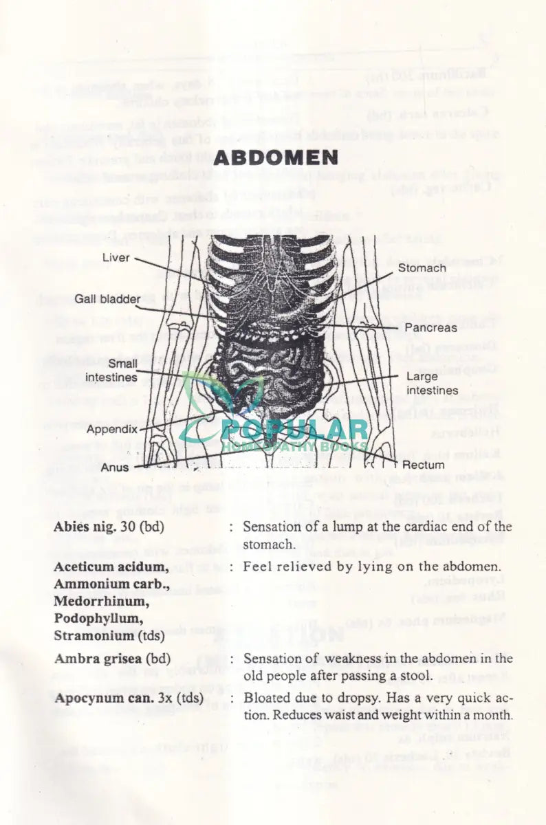 FIND YOUR REMEDY AN ILLUSTRATED HOMEOPATHIC GUIDE বাংলাদেশী ছাপা Homeopathy Books