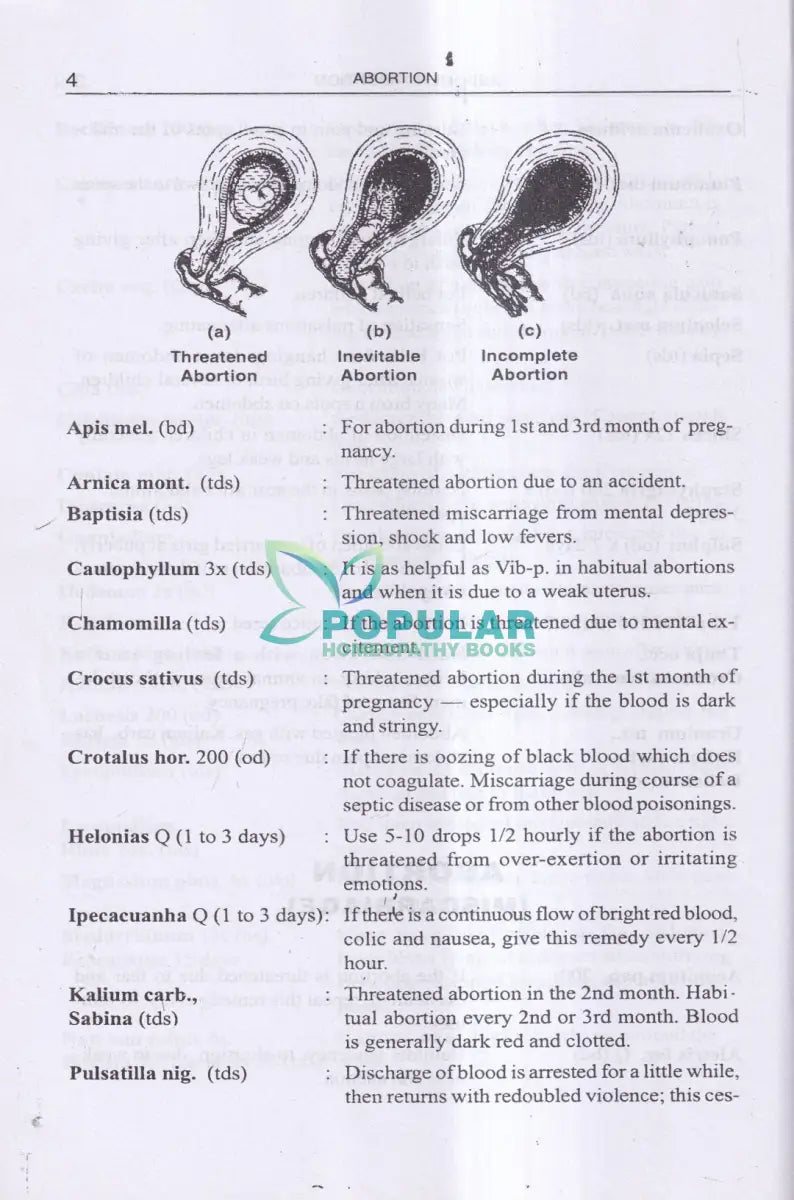 FIND YOUR REMEDY AN ILLUSTRATED HOMEOPATHIC GUIDE Homeopathy Books