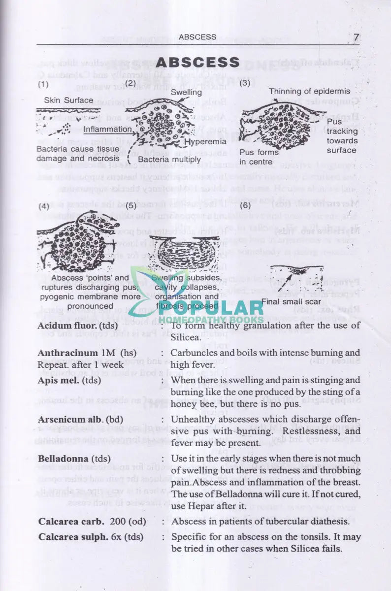 FIND YOUR REMEDY AN ILLUSTRATED HOMEOPATHIC GUIDE Homeopathy Books