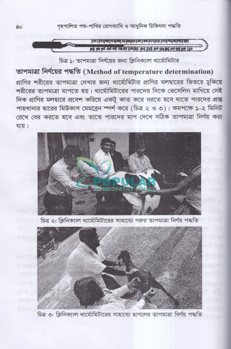 গৃহপালিত পশু পাখির রোগব্যাধি ও আধুনিক চিকিৎসা পদ্ধতি Veterinary Books