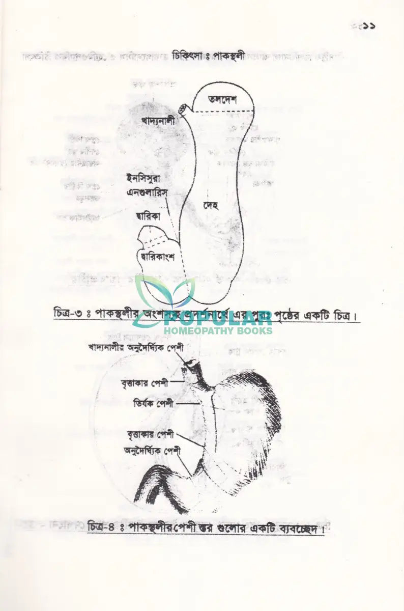 গ্যাসট্রিক ডিওডিন্যাল আলসার ও পাকস্থলীর রোগ ডায়ানোসিস ও হোমিওপ্যাথিক চিকিৎসা Homeopathy Books