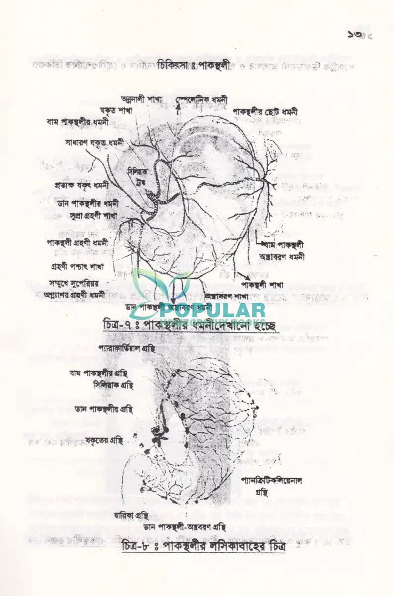 গ্যাসট্রিক ডিওডিন্যাল আলসার ও পাকস্থলীর রোগ ডায়ানোসিস ও হোমিওপ্যাথিক চিকিৎসা Homeopathy Books