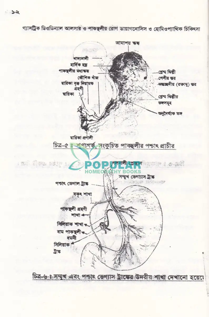 গ্যাসট্রিক ডিওডিন্যাল আলসার ও পাকস্থলীর রোগ ডায়ানোসিস ও হোমিওপ্যাথিক চিকিৎসা Homeopathy Books
