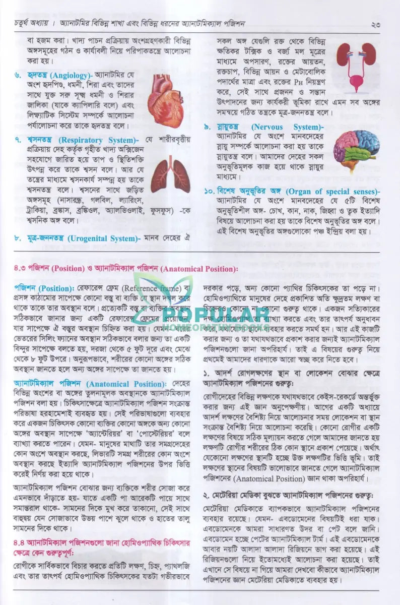 হিউম্যান এনাটমি ফর হলিস্টিক প্রেসক্রাইবার্স Homeopathy Books