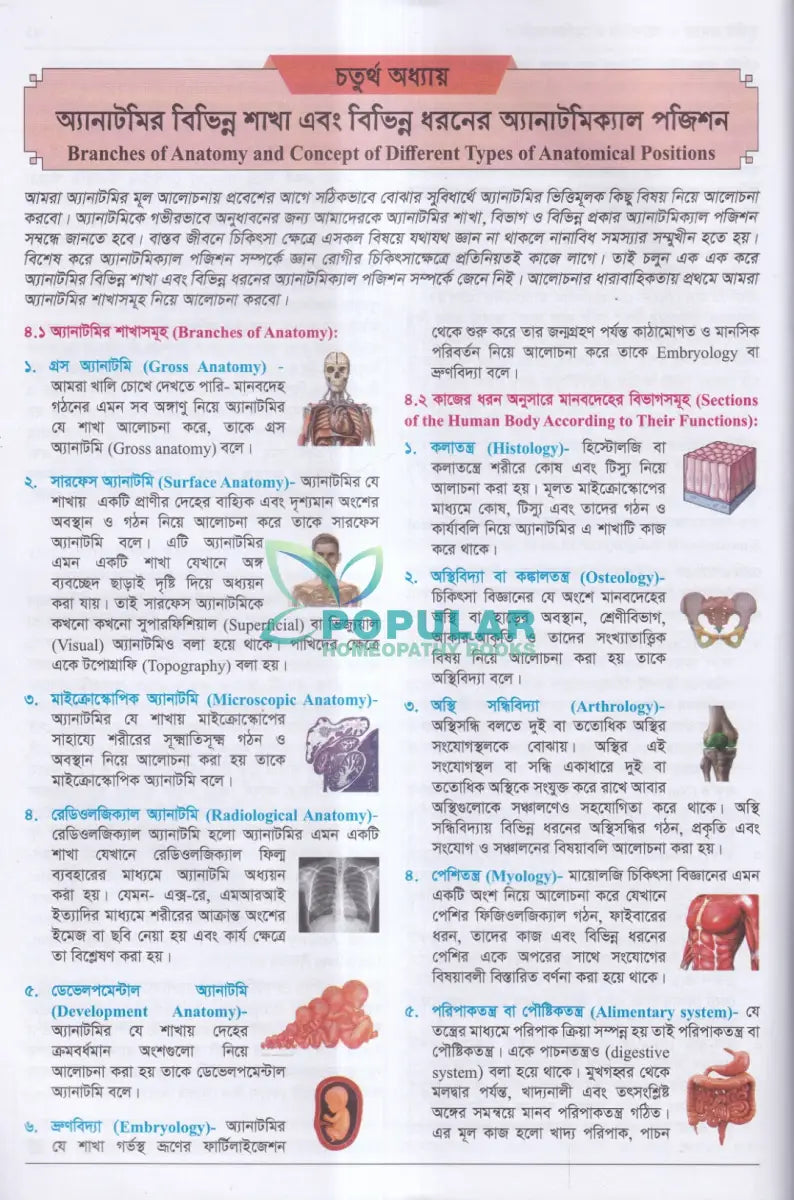 হিউম্যান এনাটমি ফর হলিস্টিক প্রেসক্রাইবার্স Homeopathy Books