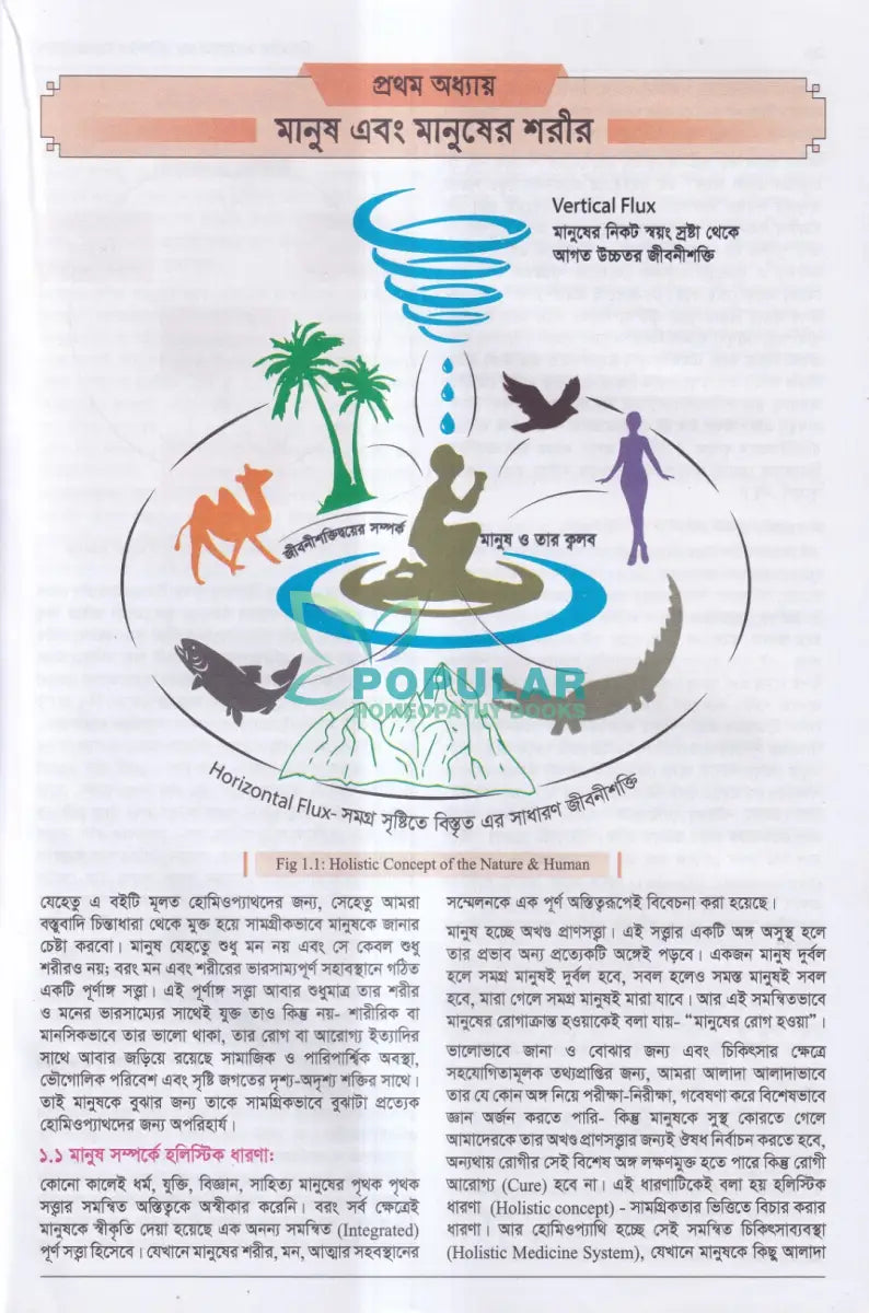হিউম্যান এনাটমি ফর হলিস্টিক প্রেসক্রাইবার্স Homeopathy Books