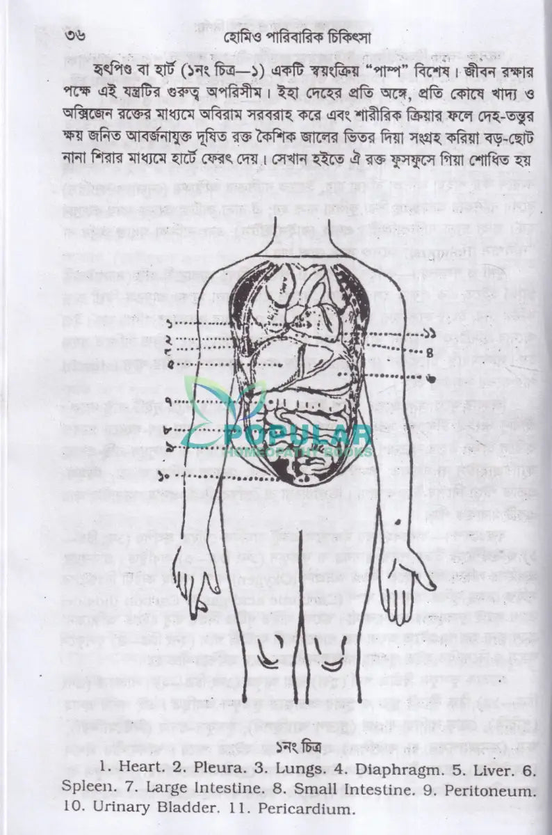 হোমিওপ্যাথিক পারিবারিক চিকিৎসা Homeopathy Books