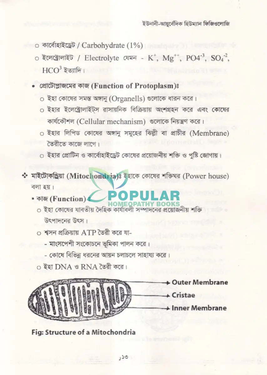 ইউনানী আয়ুর্বেদিক হিউম্যান ফিজিওলজি Unani Books