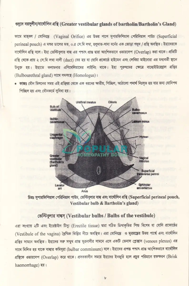 ইউনানী ধাত্রী বিদ্যা ও শিশু রোগ Unani Books